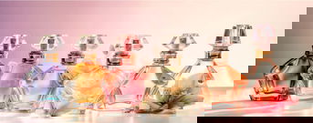 Tiktok Fragrances